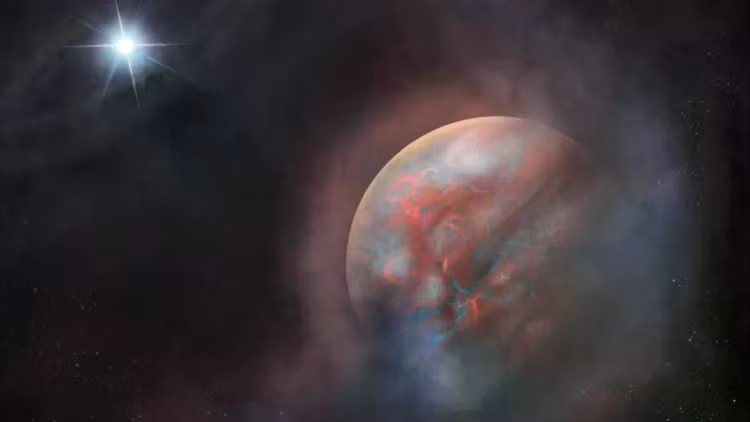 4djtuxyzkcu5d5zsss9zhn-1200-80png.jpg