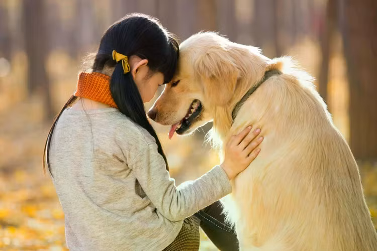 dog-humanjpg.jpg