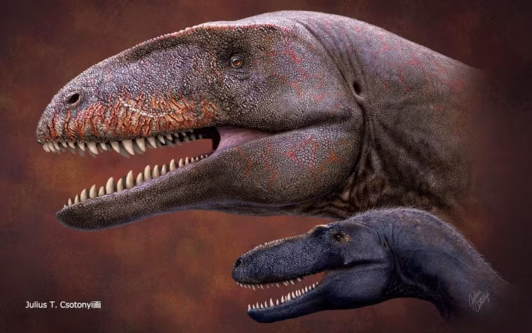ulughbegsaurus-uzbekistanensis.jpg