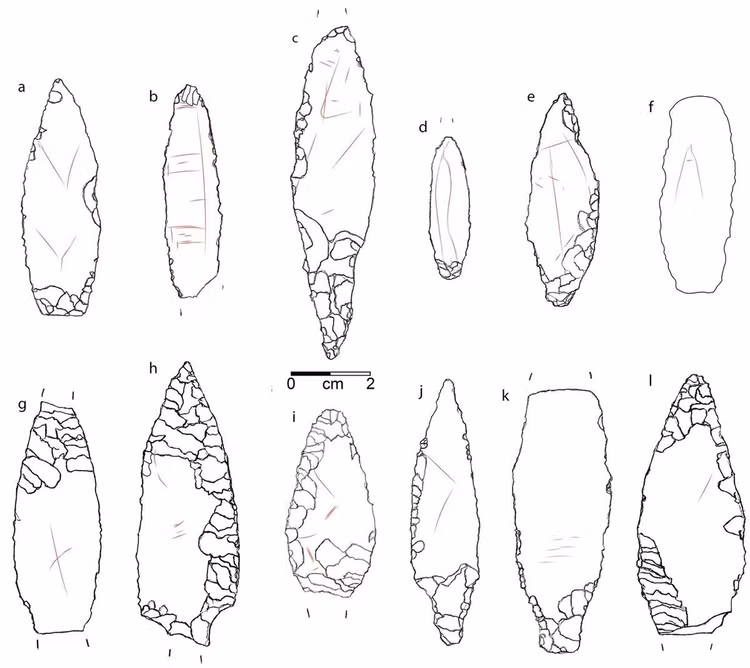 arrows1-l.jpg