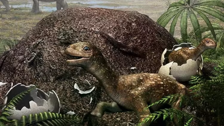 dinosaur-incubatorjpg.jpg