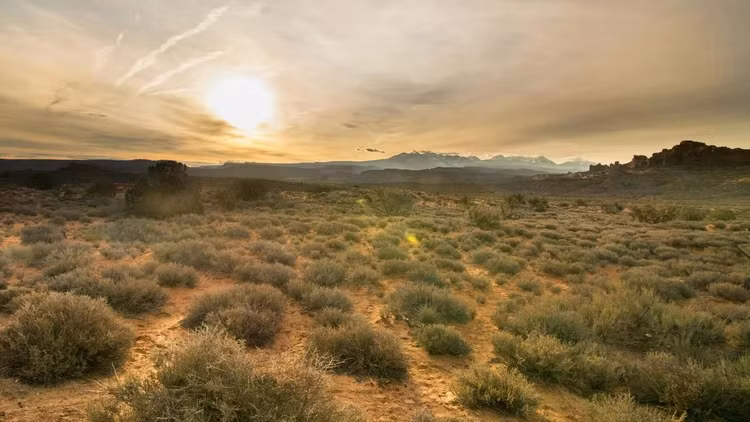 drylandsjpg.jpg