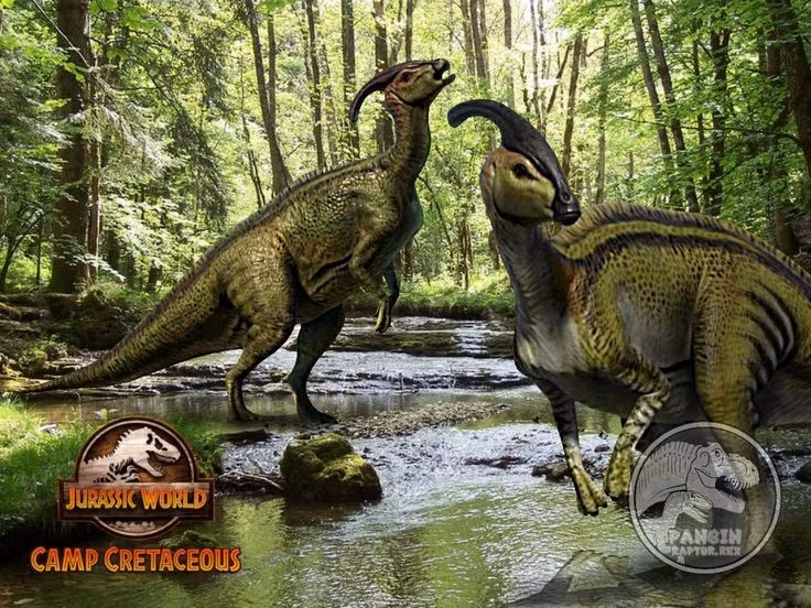 Có thể sống theo bầy đàn. Các hóa thạch cho thấy Parasaurolophus nhiều khả năng sống theo nhóm lớn, điều này giúp chúng bảo vệ con non và tăng khả năng phát hiện kẻ săn mồi. Ảnh: Pinterest.