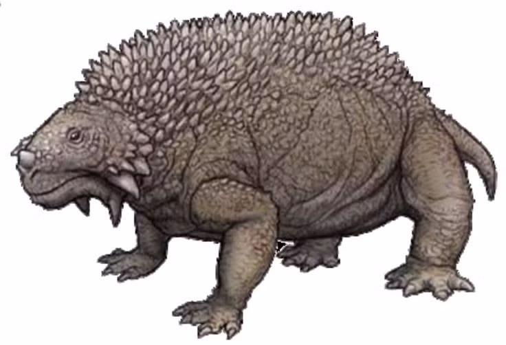 Có bộ giáp xương mạnh mẽ. Tấm giáp lớn trên lưng giúp bảo vệ Scutosaurus khỏi các loài ăn thịt thời kỳ tiền khủng long. Ảnh: Pinterest.