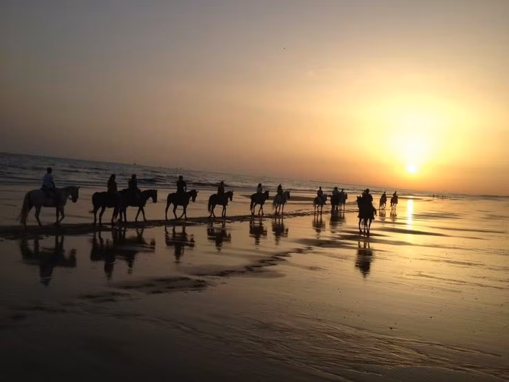 Được UNESCO công nhận là Di sản thế giới. Vườn quốc gia Doñana trở thành Di sản Thế giới năm 1994. Ảnh: Pinterest.