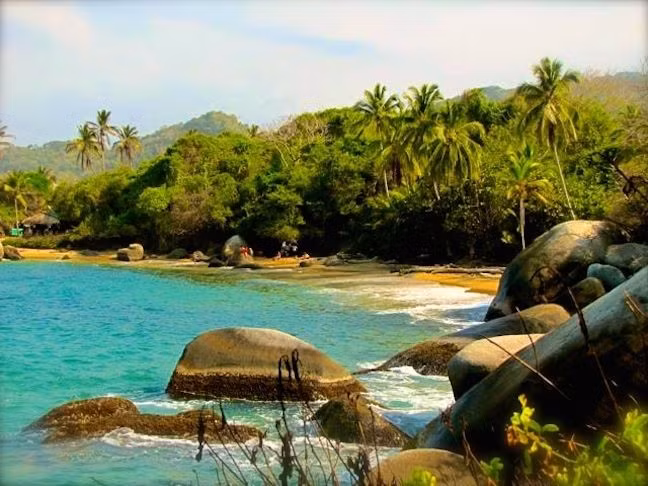 Kết hợp nhiều hệ sinh thái. Tayrona hội tụ rừng mưa, rừng khô, đầm lầy, bãi biển và rạn san hô trong cùng một khu vực. Ảnh: Pinterest.