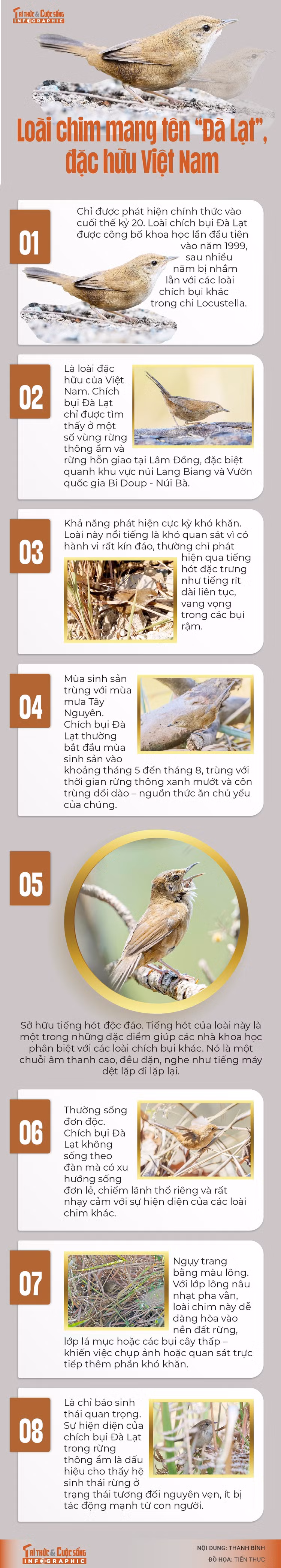 info-chichbui-dalat-01.jpg