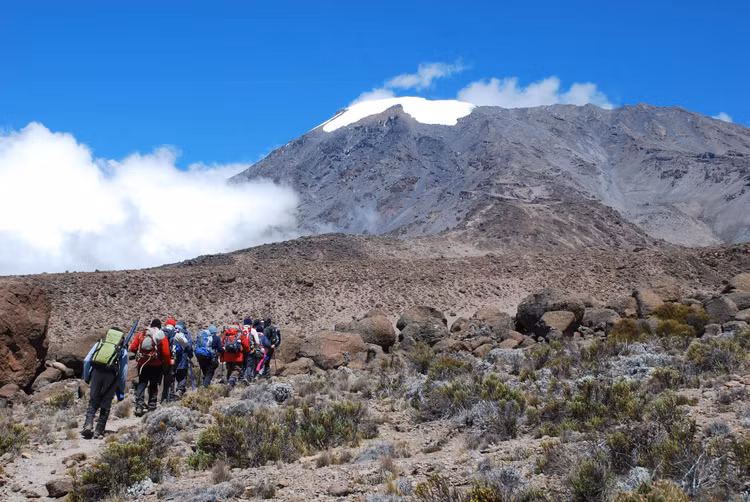 Điểm đến leo núi nổi tiếng toàn cầu. Núi Kilimanjaro được xem là một trong những ngọn núi cao dễ tiếp cận nhất thế giới vì không đòi hỏi kỹ thuật leo băng phức tạp. Mỗi năm có hàng chục nghìn người từ khắp nơi đến Tanzania để thử thách hành trình chinh phục “nóc nhà châu Phi”. Ảnh: Pinterest.