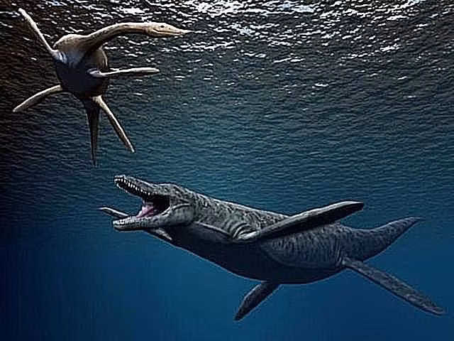 Hóa thạch phát hiện ở Úc và Colombia. Những mẫu hóa thạch của Kronosaurus được tìm thấy ở nhiều nơi, nổi bật nhất là tại Queensland (Úc). Ảnh: Pinterest.