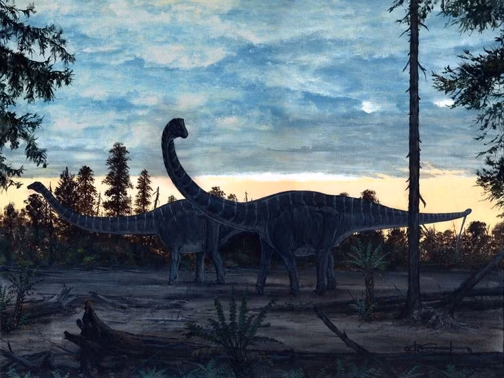 Sống vào cuối kỷ Jura. Diplodocus sinh sống cách đây khoảng 154–152 triệu năm tại khu vực nay là Bắc Mỹ. Hóa thạch của chúng được tìm thấy nhiều ở hệ tầng Morrison, một trong những mỏ hóa thạch khủng long phong phú nhất thế giới. Ảnh: Pinterest.