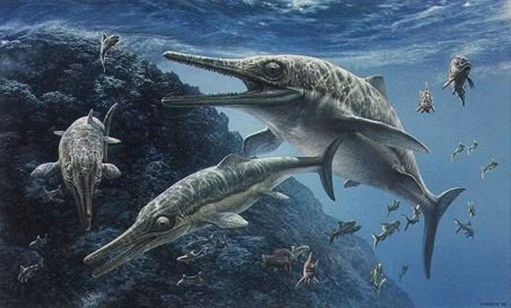Chúng sinh con chứ không đẻ trứng. Nhiều loài thằn lằn cá, trong đó có Temnodontosaurus, sinh con dưới nước chứ không đẻ trứng. Ảnh: Pinterest.