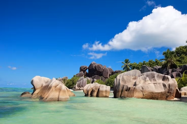 Di sản thế giới được bảo tồn nghiêm ngặt. Đảo Aldabra được UNESCO công nhận là Di sản Thế giới và được quản lý chặt chẽ để bảo vệ hệ sinh thái gần như nguyên vẹn. Ảnh: Pinterest.