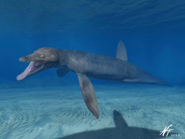 4. Hàm của chúng có lực cắn cực mạnh. Pliosaurus sở hữu lực cắn lên đến hàng chục nghìn newton – đủ để nghiền nát xương và mai của con mồi chỉ trong một cú đớp. Ảnh: Pinterest.