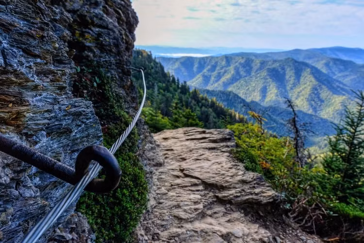 Có hơn 800 km đường mòn. Vườn quốc gia Dãy núi Great Smoky là thiên đường cho người mê leo núi, với một đoạn của đường mòn Appalachian nổi tiếng đi qua đây. Ảnh: Pinterest.