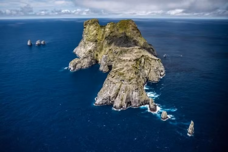 Nằm giữa Thái Bình Dương cách xa đất liền. Malpelo là một đảo núi lửa nhỏ và cô lập, cách bờ biển Colombia khoảng 500 km. Sự biệt lập địa lý này khiến nơi đây gần như không có cư dân sinh sống, đồng thời tạo điều kiện cho hệ sinh thái phát triển theo hướng riêng biệt và ít bị tác động bởi con người. Ảnh: mongabay.com.