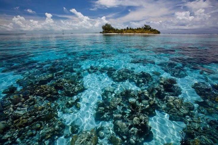 Rạn san hô Belize đóng vai trò bảo vệ bờ biển. Hệ thống san hô giúp giảm tác động của sóng lớn và bão, bảo vệ đất liền khỏi xói mòn. Ảnh: Pinterest.
