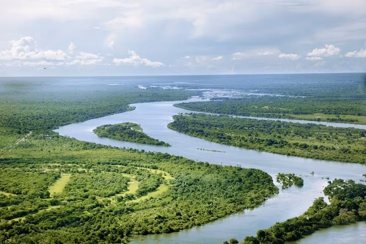 Garamba có hệ sinh thái chuyển tiếp độc đáo. Nó nằm giữa rừng mưa xích đạo và thảo nguyên khô, tạo môi trường đa dạng sinh học. Ảnh: Pinterest.