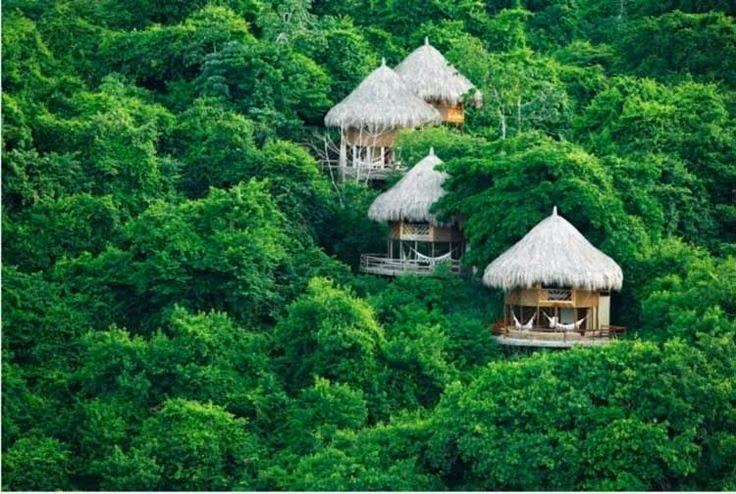 Điểm đến du lịch sinh thái hấp dẫn. Tayrona thu hút du khách yêu thiên nhiên, trekking và lặn biển. Ảnh: Pinterest.