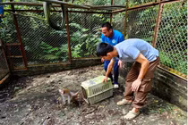 Đoàn VUSTA tham quan các khu vực nghiên cứu, khu cứu hộ động vật, khu bảo tồn thực vật và các mô hình phục hồi rừng, giáo dục môi trường trực quan tại Trung tâm Đa dạng sinh học Mê Linh