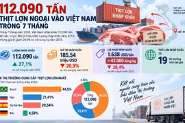 [INFOGRAPHIC] Thịt lợn ngoại vào Việt Nam tăng mạnh, giá nhập giảm sâu