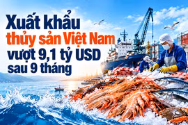 [INFOGRAPHIC] Xuất khẩu thủy sản Việt Nam vượt 9,1 tỷ USD sau 9 tháng