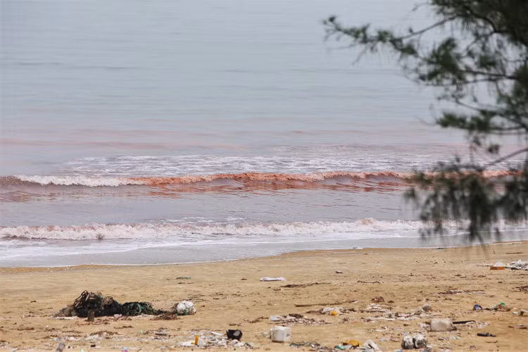 Nuoc bien o Ha Tinh doi mau bat thuong, nguoi dan lo lang-Hinh-4