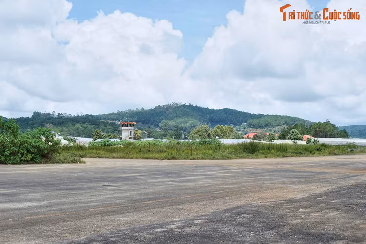 Khám phá ba địa điểm mang tên “Cam Ly” cực hot của Đà Lạt - Hình 9 Kham pha ba dia diem mang ten “Cam Ly” cuc hot cua Da Lat-Hinh-9
