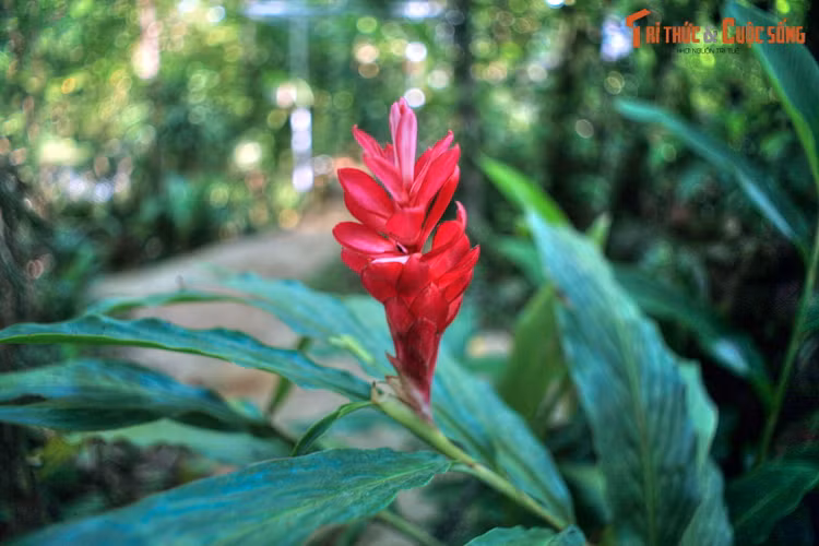Top 10 dia diem hap dan phai ghe tham o tinh Dak Lak-Hinh-9