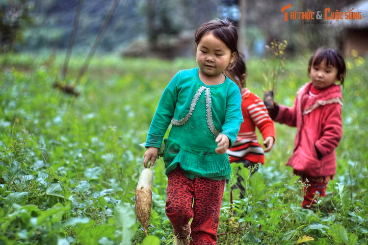 Dep hop hon con duong tu TP Ha Giang di thi tran Dong Van-Hinh-8
