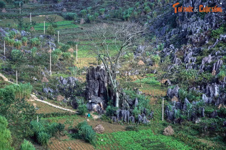 Dep hop hon con duong tu TP Ha Giang di thi tran Dong Van-Hinh-15