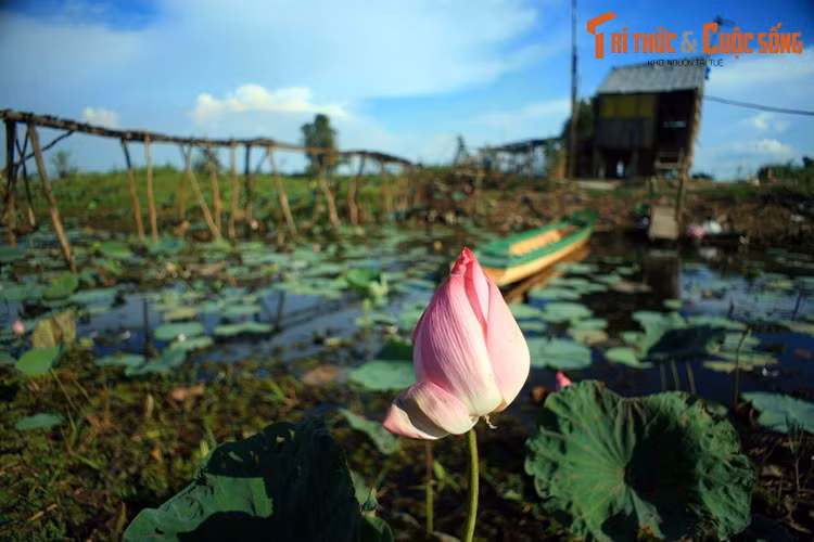 Top 10 thang canh phai ghe tham o dong bang song Cuu Long-Hinh-4