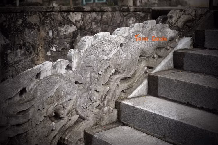 Dieu dac biet cua cap rong da Ha Noi vua tro thanh Bao vat quoc gia-Hinh-7