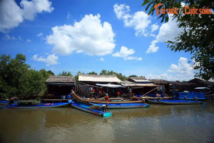 Nhung khoanh khac dep me hon ve song nuoc mien Tay Nam Bo-Hinh-10