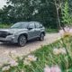 Subaru Forester HEV ra mắt Việt Nam tháng 10/2026, khoảng 1,5 tỷ đồng?