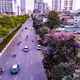 Hà Nội tháng 5 rực rỡ với vẻ đẹp dịu dàng của bằng lăng