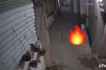 Truy tìm người đàn ông có hành vi phản cảm trong đêm