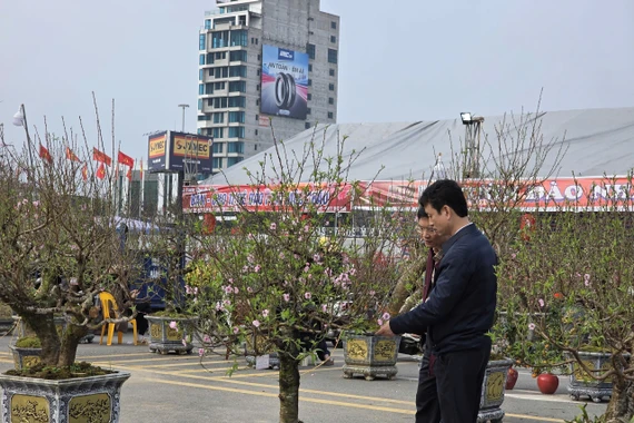 Chợ Tết Thanh niên Phú Thọ nhộn nhịp trở lại sau mưa rét