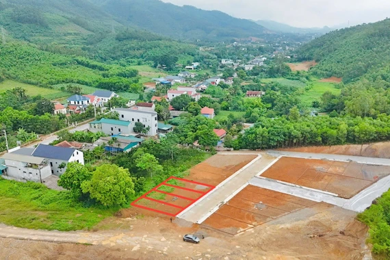 Phú Thọ yêu cầu xử lý vi phạm phân lô, bán nền trái phép