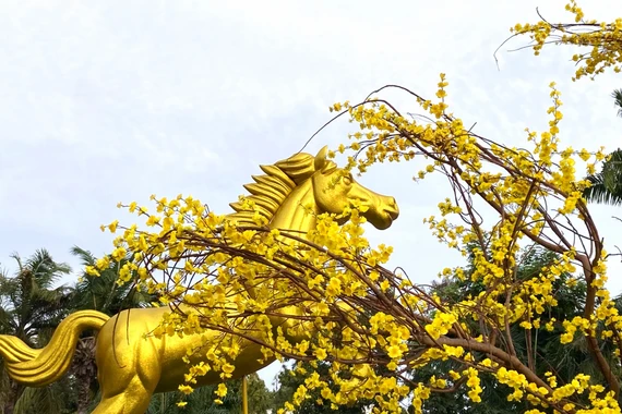 Đại cảnh hoa Xuân Bính Ngọ rực rỡ bên công viên Tháp Nước ở Lâm Đồng