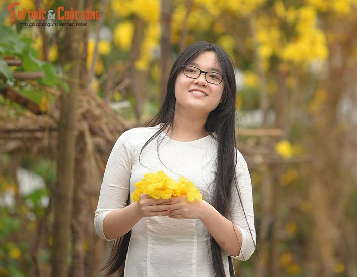 Thêm một đường hoa phong Linh mới được "khai quật" khi đường cũ đóng cửa ảnh 3