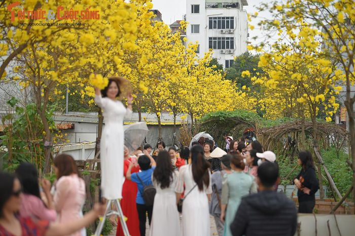 Thêm một đường hoa phong Linh mới được "khai quật" khi đường cũ đóng cửa ảnh 6