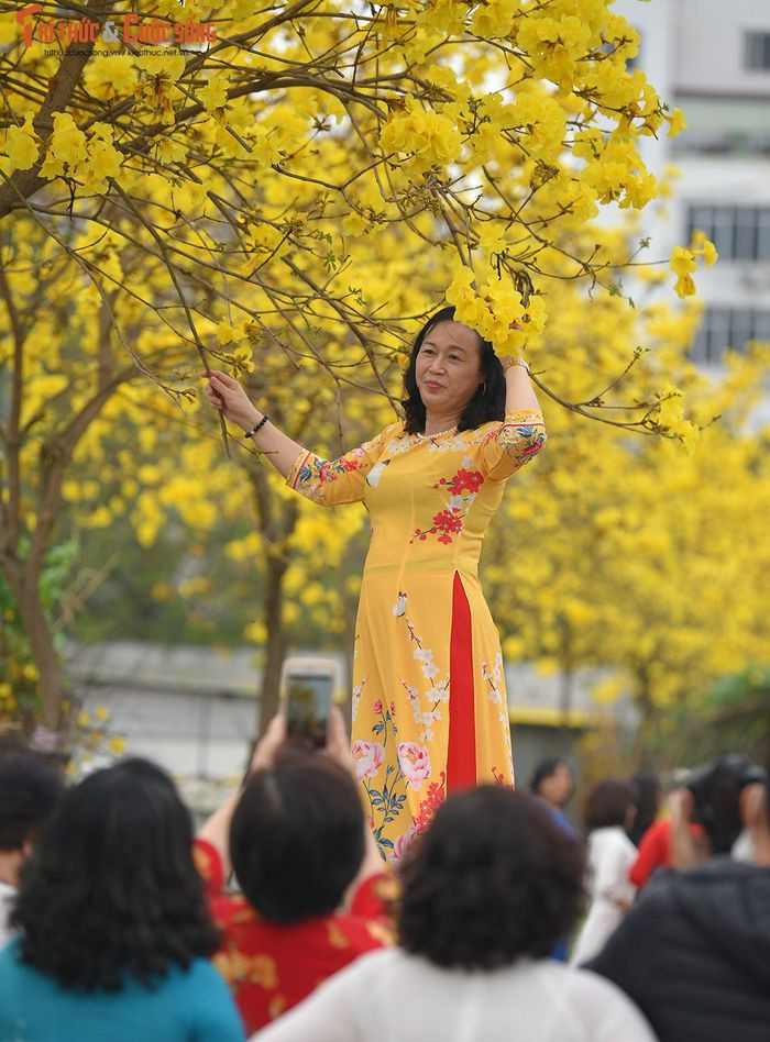 Thêm một đường hoa phong Linh mới được "khai quật" khi đường cũ đóng cửa ảnh 12