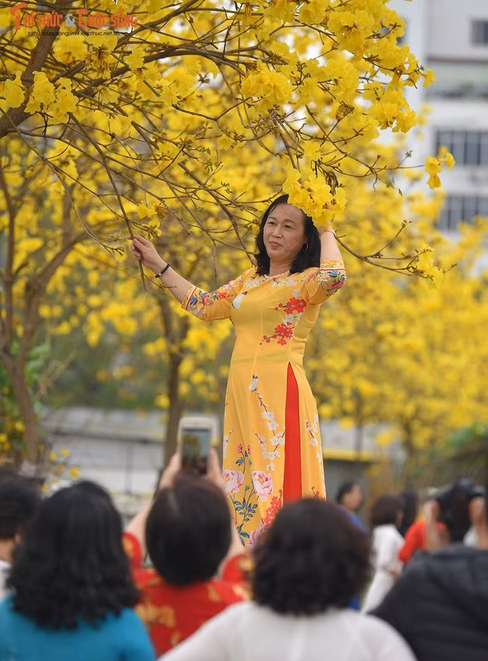 Thêm một đường hoa phong Linh mới được "khai quật" khi đường cũ đóng cửa ảnh 12