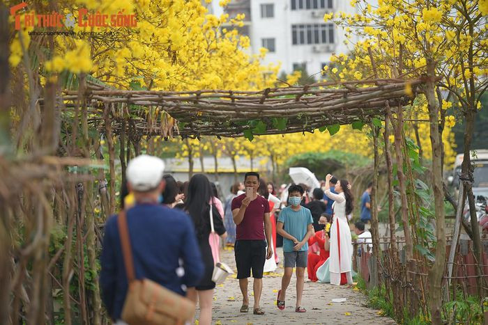 Thêm một đường hoa phong Linh mới được "khai quật" khi đường cũ đóng cửa ảnh 4