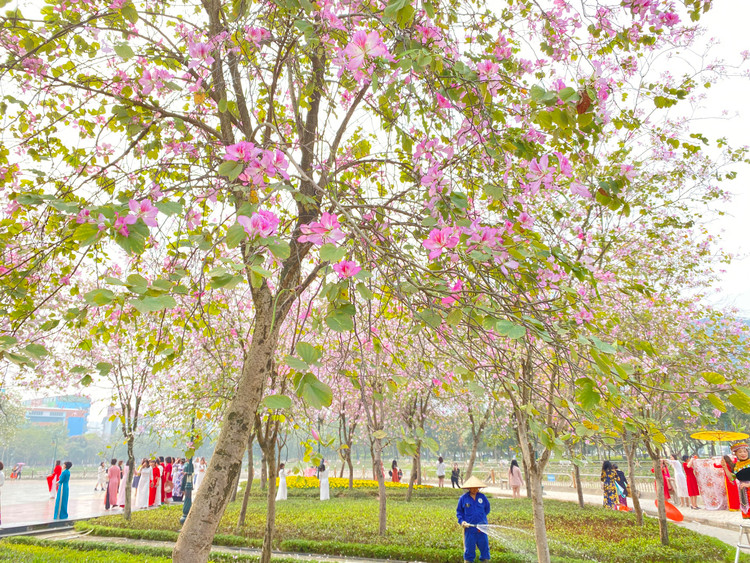 Dù không phải là ngày cuối tuần, lượng người đến tham quan và chụp ảnh khá đông.