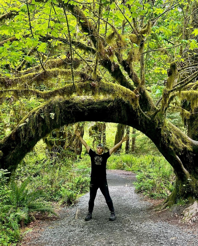 Cây cối ngã do mưa bão hay rêu phong phủ kín lối đi vẫn giữ nguyên. Thông là một trong những loài chiếm ưu thế trong rừng. Có cây cao đến 95 m, đường kính 7m. Bên cạnh đó, nhiều loại rêu và địa y độc đáo cũng được tìm thấy khắp nơi. Ảnh: irenicsm