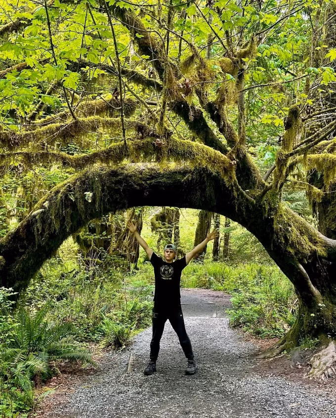 Cây cối ngã do mưa bão hay rêu phong phủ kín lối đi vẫn giữ nguyên. Thông là một trong những loài chiếm ưu thế trong rừng. Có cây cao đến 95 m, đường kính 7m. Bên cạnh đó, nhiều loại rêu và địa y độc đáo cũng được tìm thấy khắp nơi. Ảnh: irenicsm