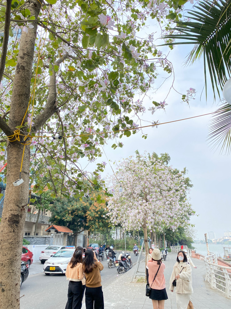 Khu vực này thu hút nhiều bạn trẻ đến chụp ảnh check-in.