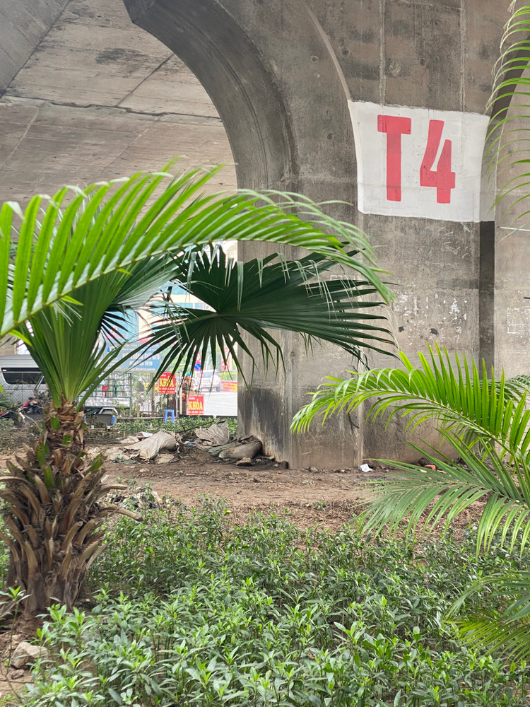 Rác dưới trụ cầu T5 gây mất mỹ quan đô thị.