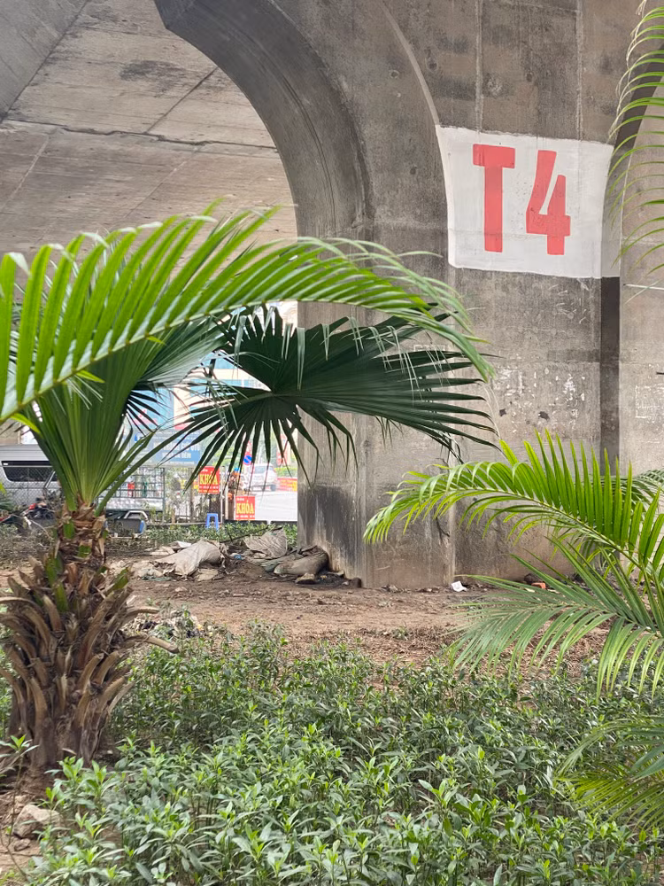 Rác dưới trụ cầu T5 gây mất mỹ quan đô thị.